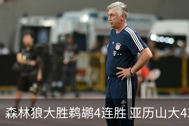 森林狼大胜鹈鹕4连胜 亚历山大43分雷霆克骑士