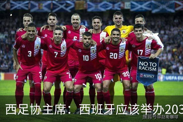 西足协主席：西班牙应该举办2030世界杯决赛，我们各方面条件最优